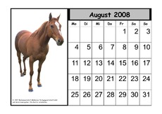 Tier-Kalender-08-08.pdf
